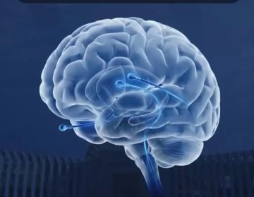 هيئة الرعاية الصحية تصدر فيديوجراف تحت عنوان الصعيد يكتب قصة صحته الجديدة.. التأمين الصحي الشامل حلم أصبح حقيقة 