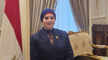 نائبة: كلمة الرئيس السيسي بمنتدى دافوس حملت رسائل هامة للعالم