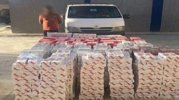 سقوط 7 تجار سجائر جملة وقطاعي في حملة تموينية بالغربية لردع مخالفين سقوط 7 تجار سجائر جملة وقطاعي في حملة تموينية بالغربية لردع مخالفين