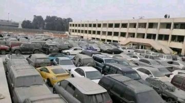 الخميس.. مزاد علني لبيع 132 سيارات من مصادرات الجمارك.. تفاصيل التقديم
