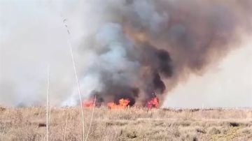 الحماية المدنية تنجح في السيطرة على حريق أرض في العامرية