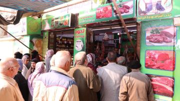 اللحوم بأقل الأسعار.. الزراعة: طرح كرتونة رمضان بتخفيضات هائلة تفاصيل