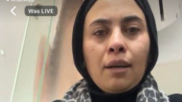 قوة السوشيال ميديا.. كيف أنقذ بث مباشر شقيق ميادة من التعـ.ـذيب وأدخله مستشفى العباسية؟