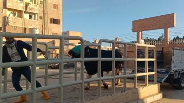 تمهيدا لافتتاحه.. محافظ كفر الشيخ يعلن التشغيل التجريبي لمجزر دسوق صور