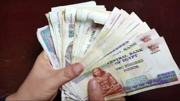 ارتفاع متوسط الأجر الشهري للعاملين 26.6 عام 2024.. الإحصاء يكشف