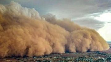 دعاء الرياح وصلاة ركعتين.. الإفتاء توضح سنة النبي عند العواصف