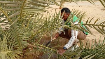 التضامن: مشروعات الوقف الخيري ركيزة أساسية في دعم منظومة الحماية الاجتماعية