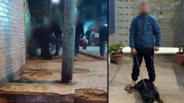 بيهزر.. القبض على المتهم بتحريض كلب لعقر عامل بالشرقية