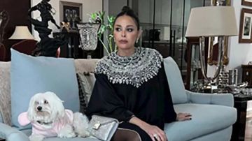 داليا البحيري تلفت الأنظار بإطلالة جذابة داليا البحيري تلفت الأنظار بإطلالة جذابة