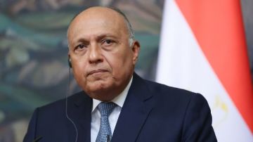 سامح شكري: أعتز بثقة الرئيس السيسي بعد تعييني في مجلس النواب