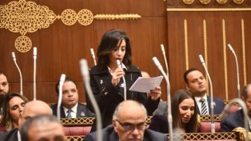 نائبة التنسيقية: التغيرات المناخية تحولت إلى تهديد للأمن القومي نائبة التنسيقية: التغيرات المناخية تحولت إلى تهديد للأمن القومي