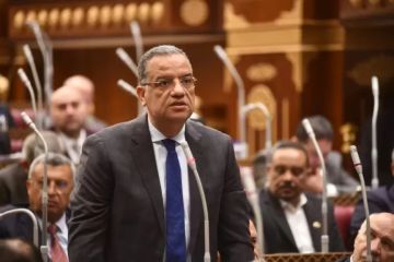 برلمانية الجبهة الوطنية بالشيوخ: استثمارات الدولة في حماية الشواطئ والمياه أمن قومي 