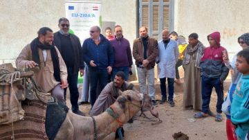 قوافل بيطرية مكثفة بسوهاج تخدم 213 مستفيدا وتدرب 60 طبيبا