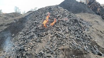 إزالة 103 مكامير فحم بمركز بلقاس بالدقهلية للحد من التلوث