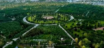 جهود حكومية مكثفة لتعزيز النقل المستدام وإدخال الحافلات الكهربائية جهود حكومية مكثفة لتعزيز النقل المستدام وإدخال الحافلات الكهربائية