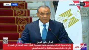 وزير الخارجية: مصر حريصة على خفض التصعيد في السودان والوقف الكامل لإطلاق النار