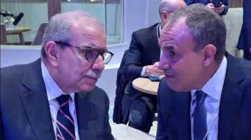 وزير الخارجية يعقد سلسلة لقاءات على هامش المنتدى الاقتصادي العالمي بدافوس