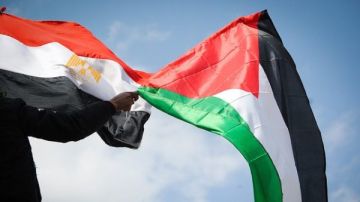 جهود مصرية لإدخال المساعدات.. خبير: القاهرة أجهضت مخططات تهجير الفلسطينيين من أرضهم