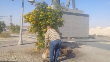 حي جنوب الغردقة يكثف أعمال ري المسطحات الخضراء للحفاظ على المظهر الحضاري حي جنوب الغردقة يكثف أعمال ري المسطحات الخضراء للحفاظ على المظهر الحضاري