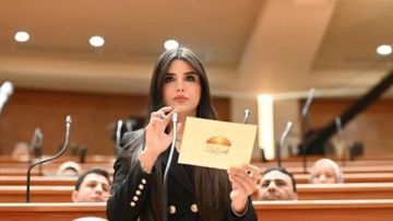 النائبة ريهام أبو الحسن تنضم إلى لجنة العلاقات الخارجية