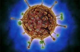 سبب الإصابة بفيروس نيباه .. تعرف عليه سبب الإصابة بفيروس نيباه .. تعرف عليه