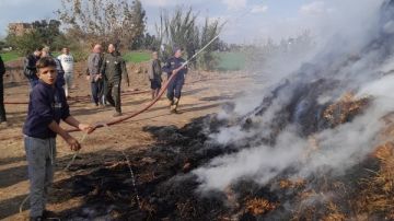 السيطرة على حريق مزرعة مواش بالسنطة في الغربية