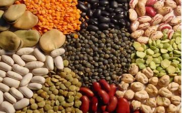 صناعة الحبوب: انخفاض أسعار البقوليات في مصر حتى 40 قبل رمضان