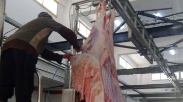 محافظ الوادي الجديد: بدء التشغيل التجريبي لمجزر مدينة الخارجة نصف الآلي محافظ الوادي الجديد: بدء التشغيل التجريبي لمجزر مدينة الخارجة نصف الآلي