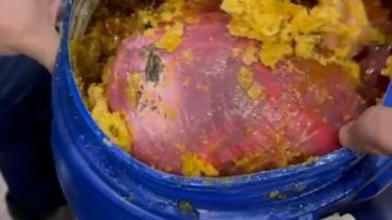 15 كيلو مخدرات في علبة عسل .. ركاب أفارقة يهربون ممنوعات بمطار القاهرة صور 15 كيلو مخدرات في علبة عسل .. ركاب أفارقة يهربون ممنوعات بمطار القاهرة صور