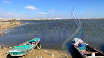 كان بيحضر فرح.. تفاصيل جديدة في قضية الأب المتهم بقتل أولاده بكرموز