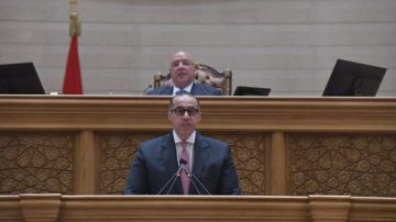 محمود فوزي: اللجان النوعية عقل مجلس النواب ومحركاته التشريعية