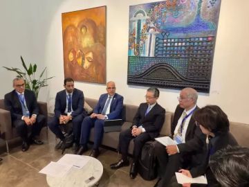 الدكتور سويلم يلتقي وفد دولة اليابان شريك مصر في رئاسة الحوار التفاعلي الثالث للمياه بعنوان المياه والكوكب 
