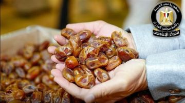 مجلس الوزراء ينفي استيراد مصر للتمور الإسرائيلية: حملة ممنهجة على الصادرات الزراعية المصرية