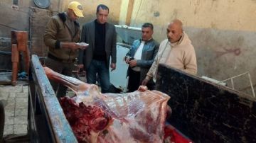 محافظ المنوفية: ضبط سلخانة مخالفة بمنوف محافظ المنوفية: ضبط سلخانة مخالفة بمنوف