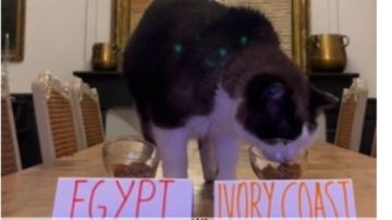 توقعات القط نيمبوس تسقط أمام إرادة الفراعنة.. مصر تفوز على منتخب كوت ديفوار