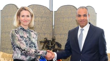 وزير الخارجية: نتطلع لإزالة المعوقات أمام نفاذ السلع المصرية إلى الأسواق الأوروبية