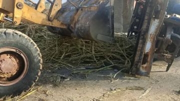 بعد انقلاب مقطورة قصب.. محافظ قنا يوجه بإعادة الانضباط المروري بطريق العجالين صور بعد انقلاب مقطورة قصب.. محافظ قنا يوجه بإعادة الانضباط المروري بطريق العجالين صور