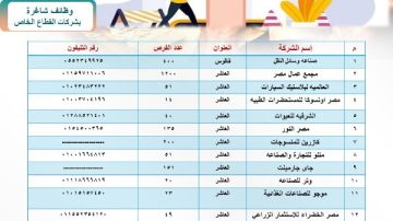 توفير 2649 فرصة عمل داخل 18 مصنعا وشركة بالقطاع الخاص بفاقوس والعاشر من رمضان