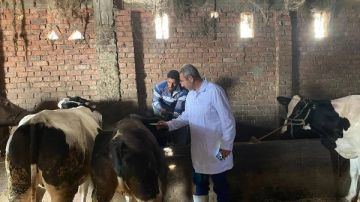 دمياط .. انطلاق الحملة القومية للتحصين ضد الحمى القلاعية و الوادى المتصدع دمياط .. انطلاق الحملة القومية للتحصين ضد الحمى القلاعية و الوادى المتصدع