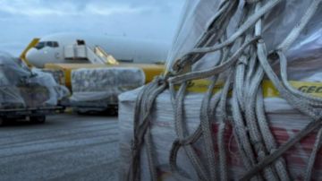 ألمانيا تعلن إرسال شحنة مساعدات إنسانية جديدة إلى قطاع غزة عبر مصر