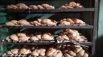 تحرير 45 محضرا تموينيا خلال حملات رقابية في القليوبية