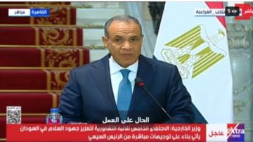 وزير الخارجية: متفائلون بفرصة إنهاء الحرب في السودان