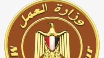 إحالة العاملين بمكتب عمل بكفر الشيخ للتحقيق بعد تداول فيديو لتغيبهم عن العمل