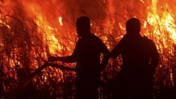 إندونيسيا تعلن حالة الطوارئ في مقاطعة كوبو رايا بسبب حرائق الغابات