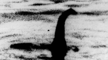 اكتشاف أكبر ثعبان في التاريخ عاش قبل 56 مليون سنة.. ما القصة؟