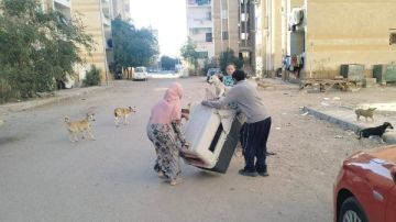 بيطري البحر الأحمر تنفذ حملة لتعقيم وتطعيم الكلاب الضالة ضد السعار بيطري البحر الأحمر تنفذ حملة لتعقيم وتطعيم الكلاب الضالة ضد السعار