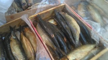 مصادرة 2405 كيلو لحوم ودواجن ورنجة مجهولة المصدر بالغربية مصادرة 2405 كيلو لحوم ودواجن ورنجة مجهولة المصدر بالغربية