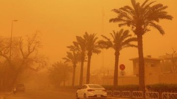 مع العواطف الترابية.. علاقة غريبة بين الأسنان والجيوب الانفية