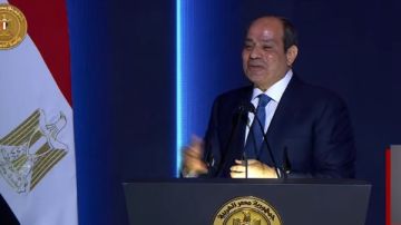 برلمانية : القيادة السياسية تتحرك بحكمة لحماية الاستقرار