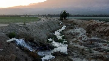 عهد الإفلاس المائي العالمي .. تقرير الأمم المتحدة يحذر من أزمة وشيكة